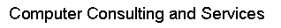 Text Box: Computer Consulting and Services